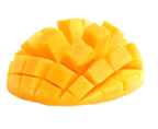 shape51