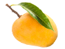 shape54