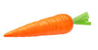 shape55