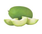 shape21