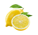 shape23
